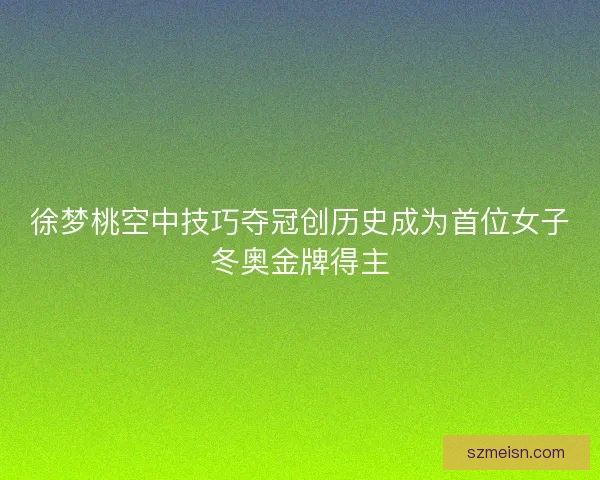 徐梦桃空中技巧夺冠创历史成为首位女子冬奥金牌得主